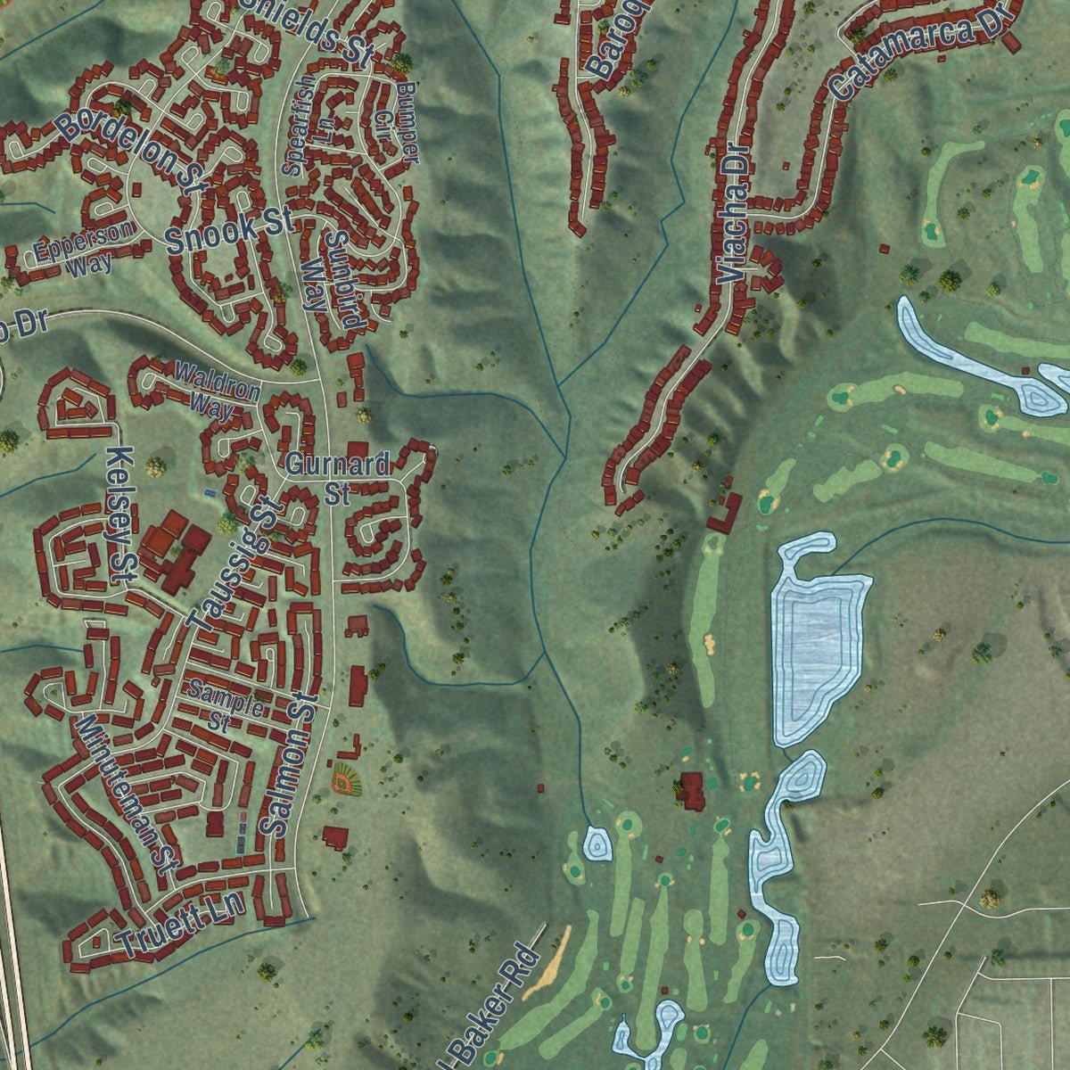 Second close-up of the map of Tierrasanta, California print showing more streets and buildings