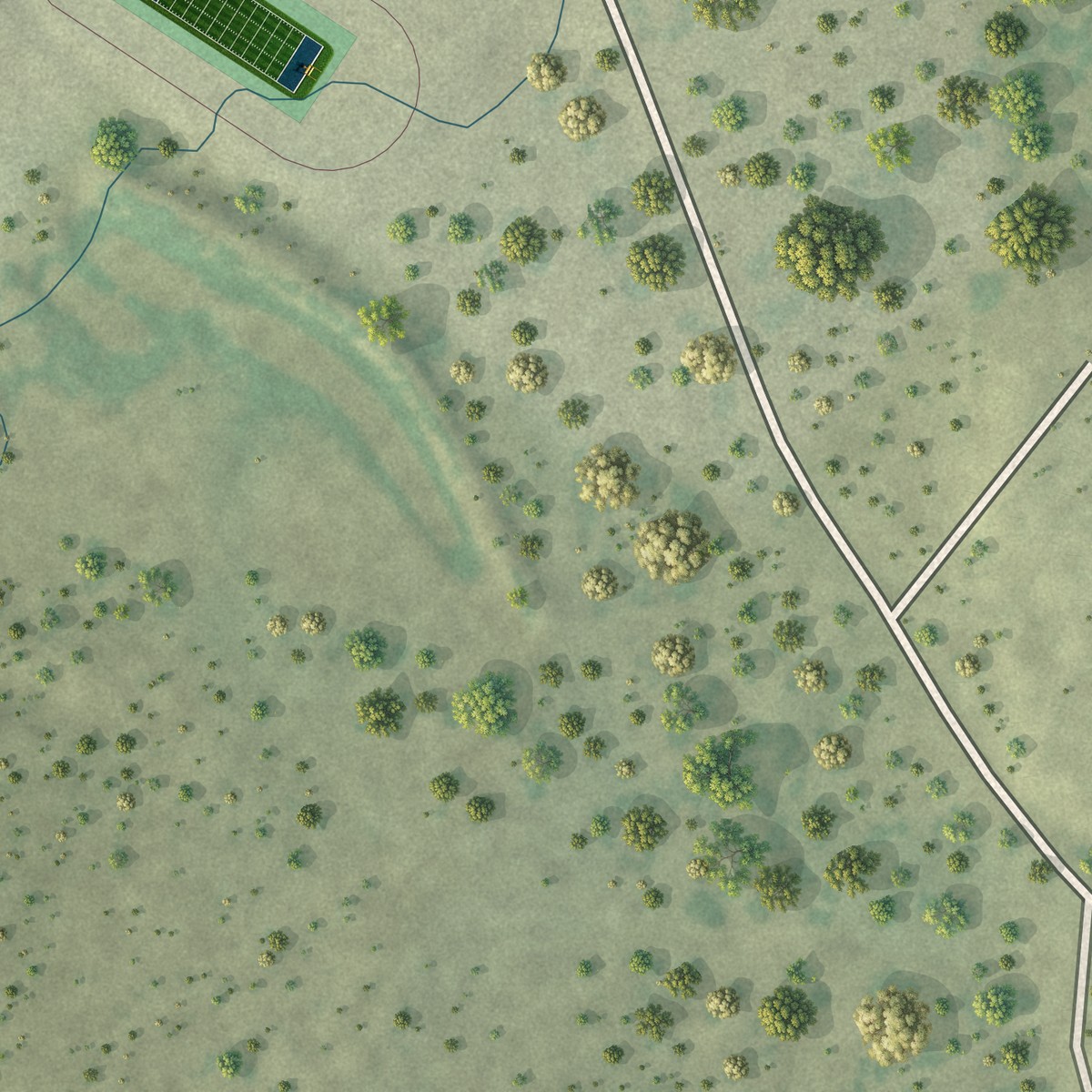 Second close-up of the map of Tilden, Texas print showing more streets and buildings