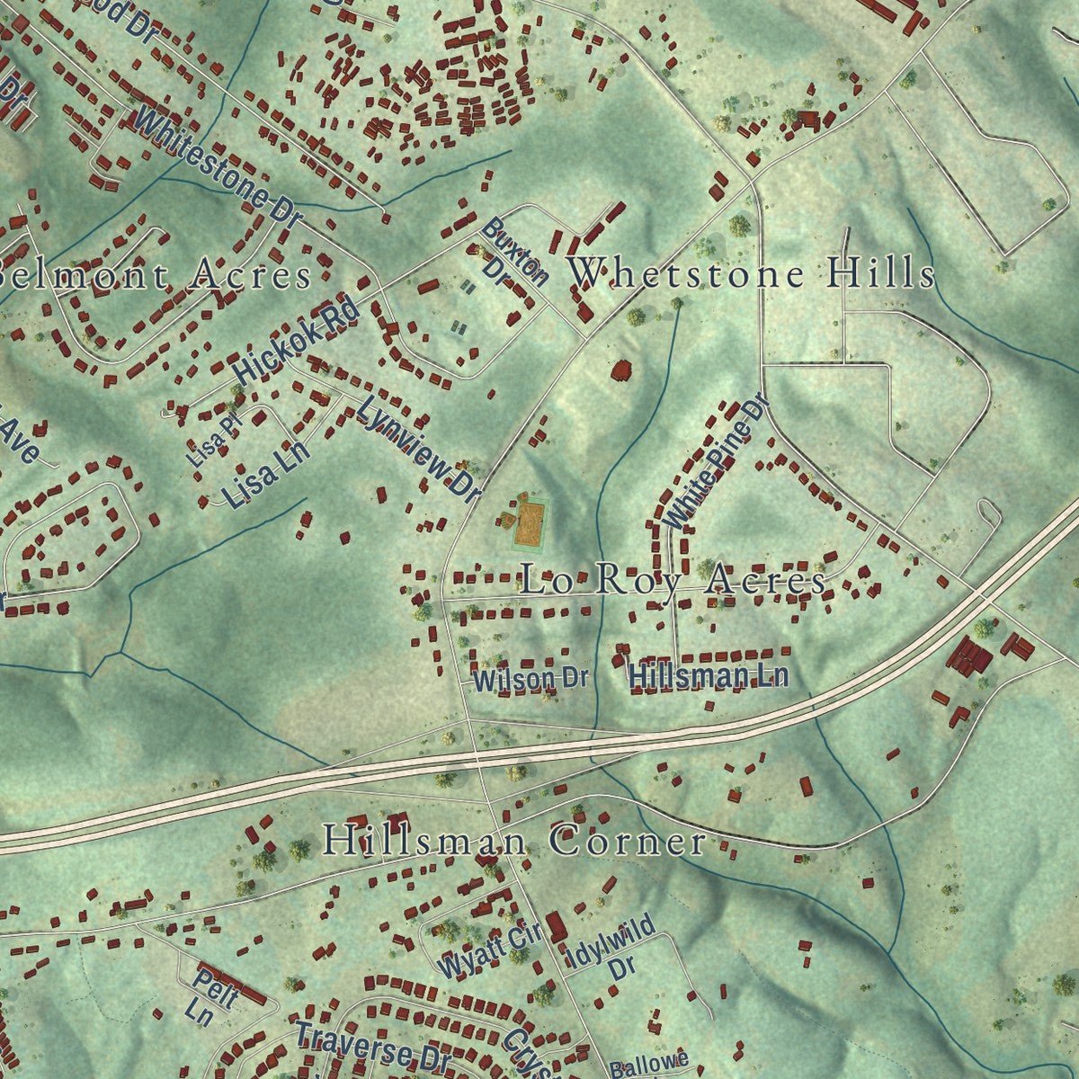 Second close-up of the map of Timberlake, Virginia print showing more streets and buildings