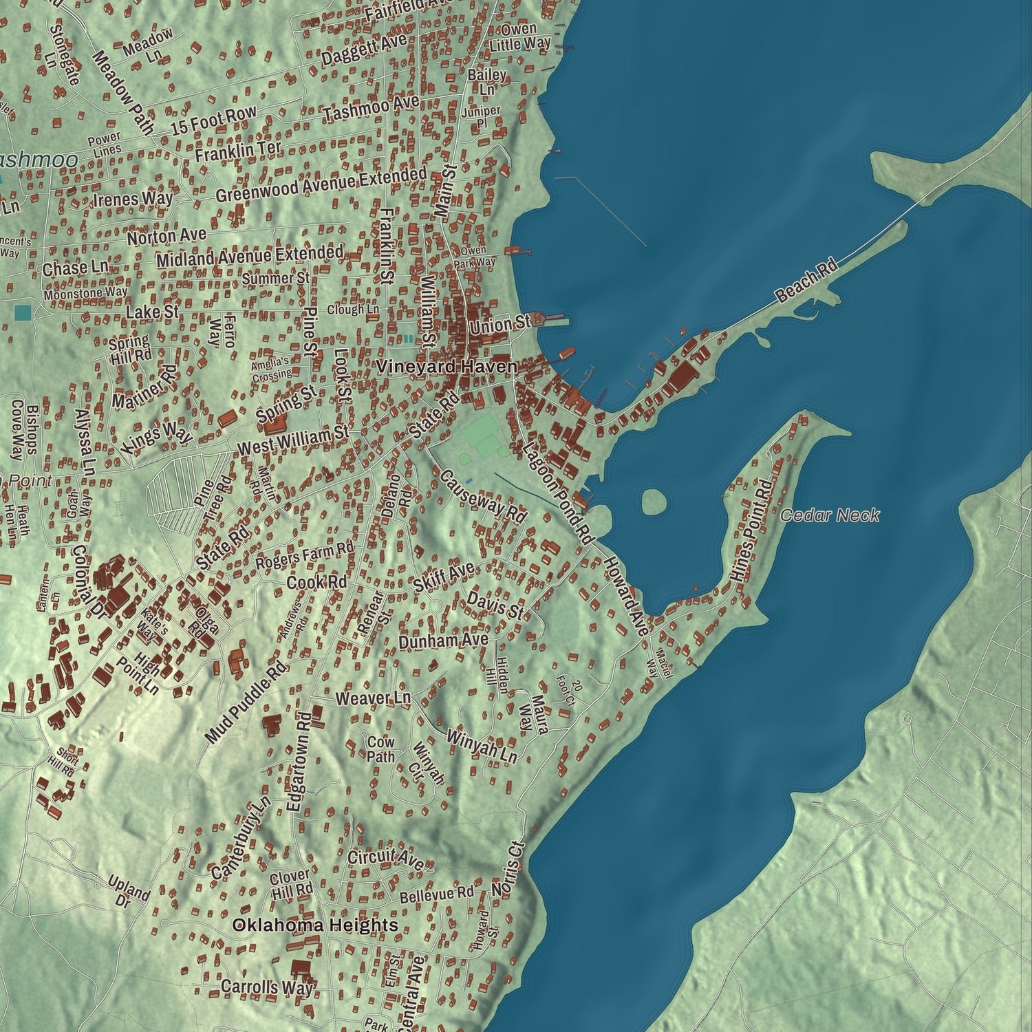 Close-up of the map of Tisbury, Massachusetts print showing terrain and local geography
