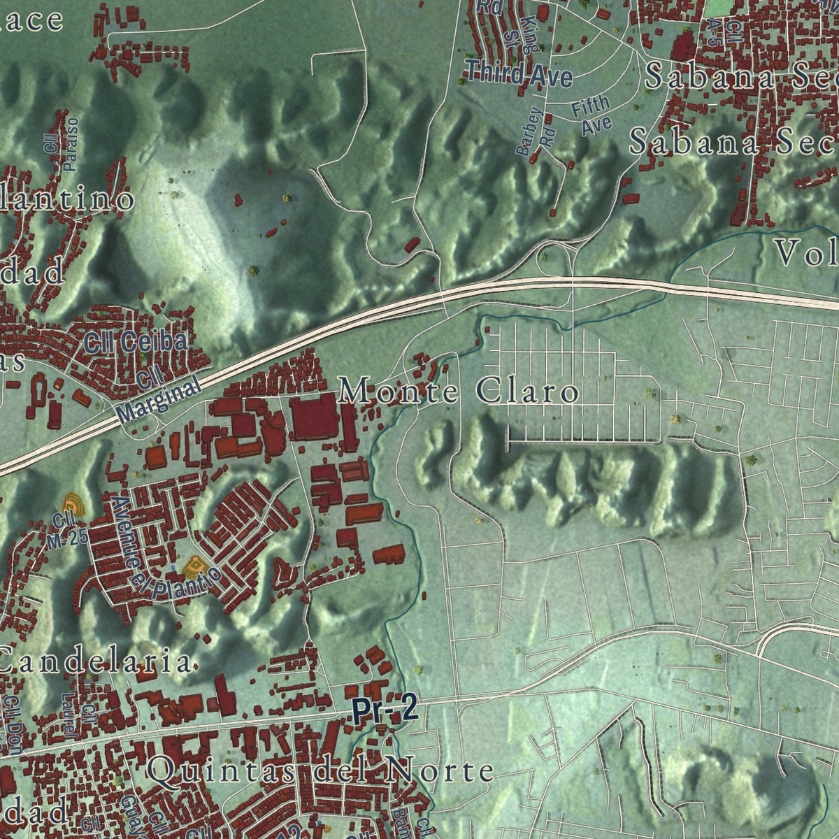 Second close-up of the map of Toa Baja, Puerto Rico print showing more streets and buildings