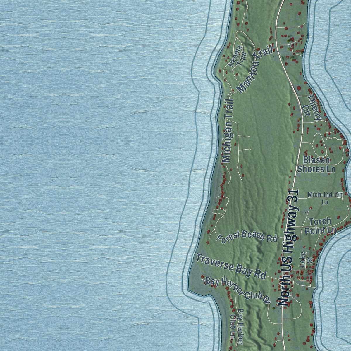 Second close-up of the map of Torch Lake, Antrim County, Michigan print showing more streets and buildings