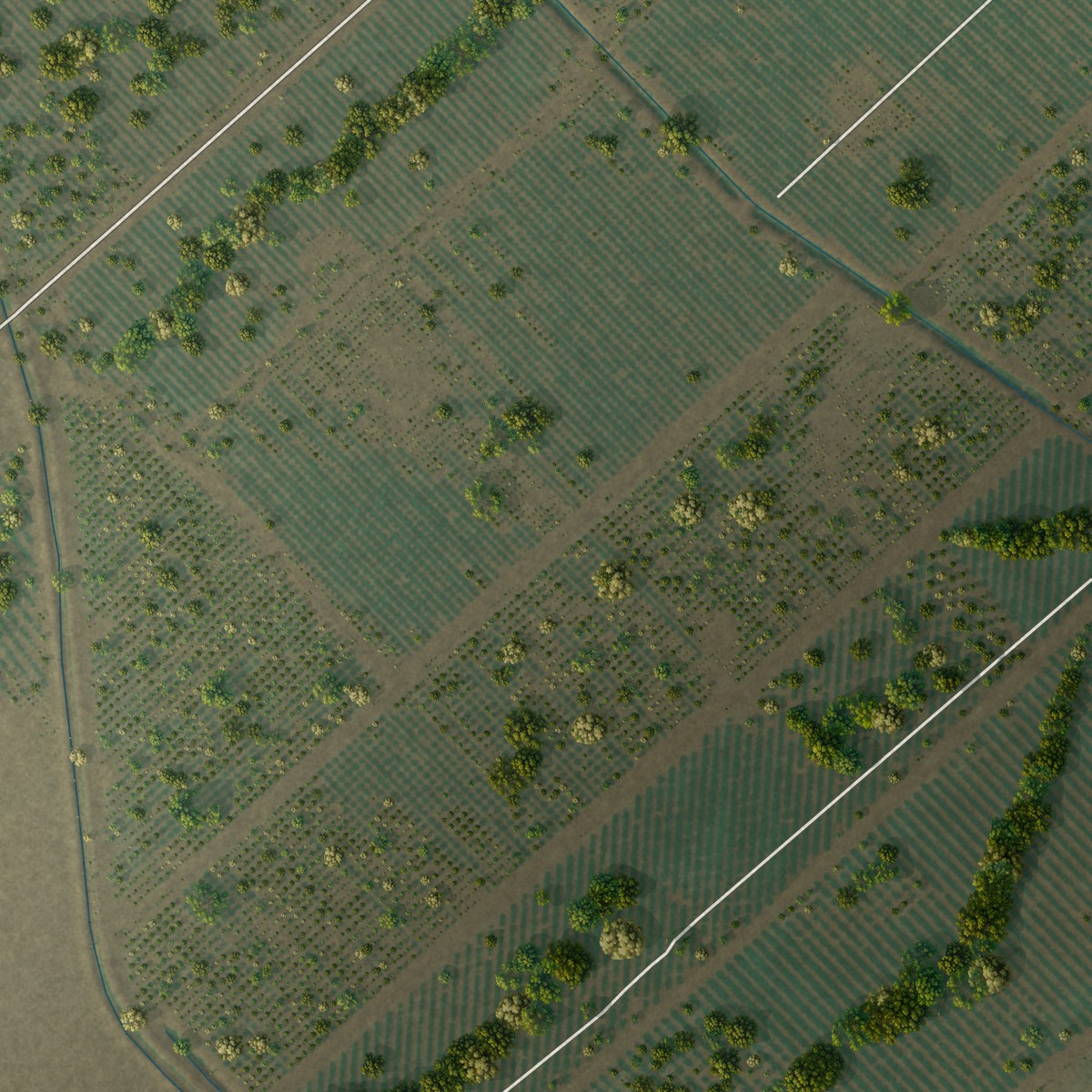 Second close-up of the map of Tornillo, Texas print showing more streets and buildings