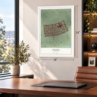 Touro, Louisiana map, 18 x 24 inch print in a white frame in a home office