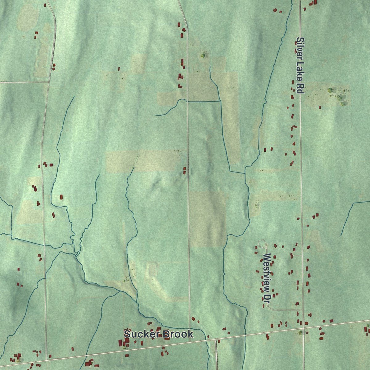 Second close-up of the map of the Town of Perry, New York print showing more streets and buildings