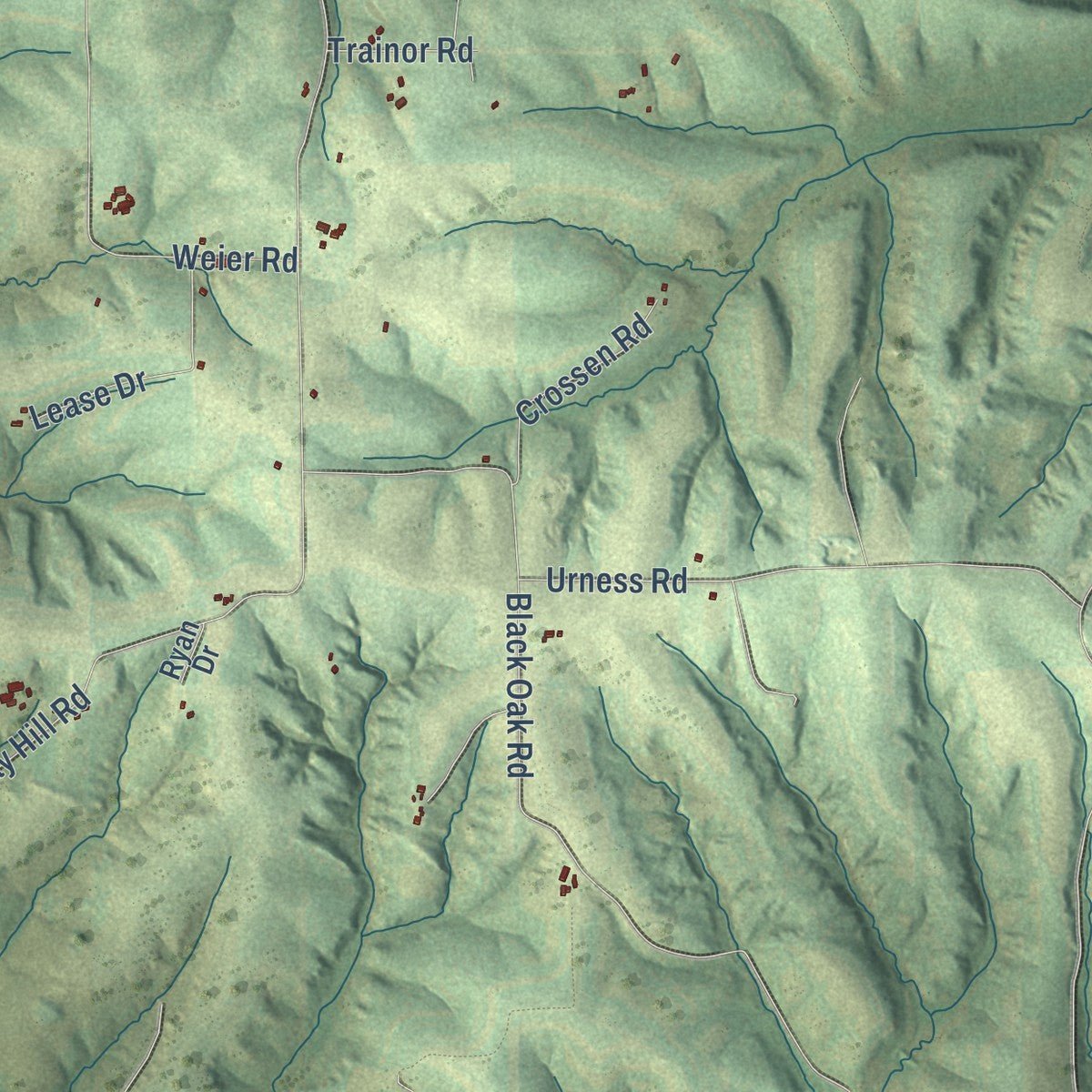 Second close-up of the map of the Town of Ridgeway, Wisconsin print showing more streets and buildings