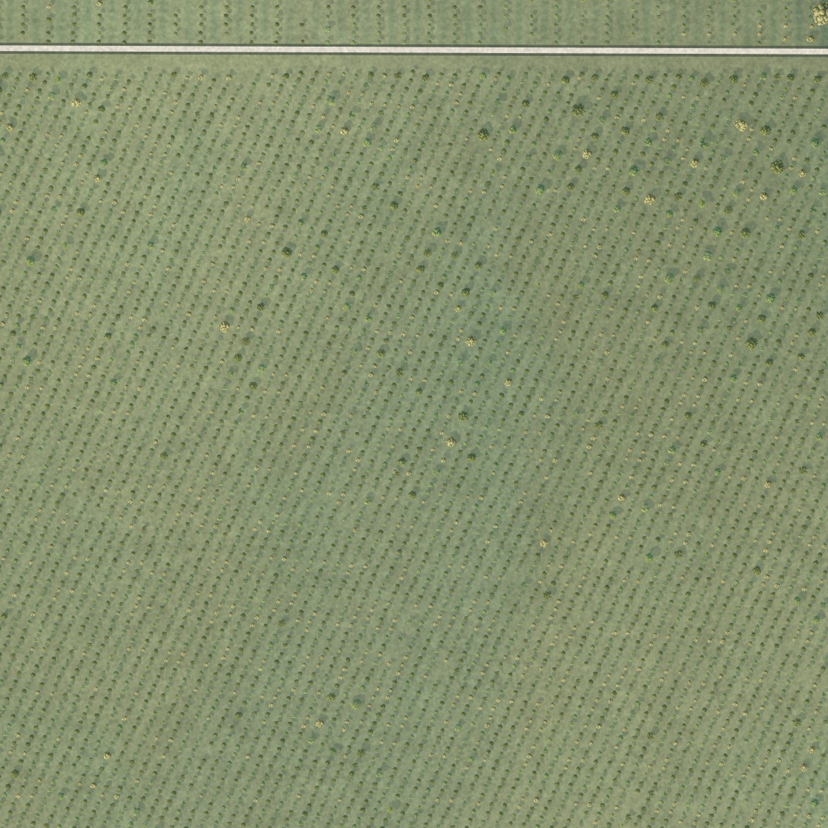 Second close-up of the map of Tranquillity, California print showing more streets and buildings