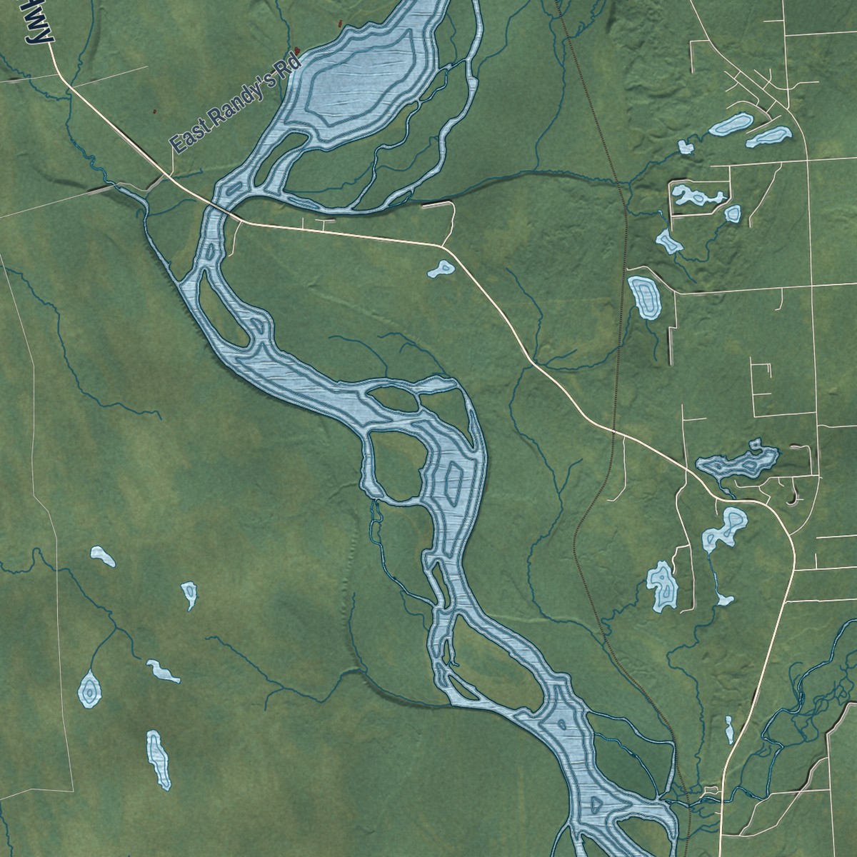 Second close-up of the map of Trapper Creek, Alaska print showing more streets and buildings