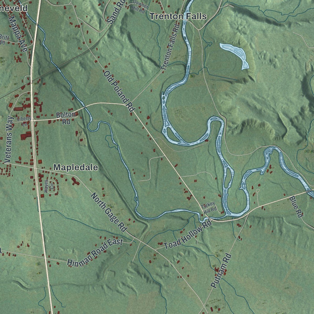 Second close-up of the map of Trenton, New York print showing more streets and buildings