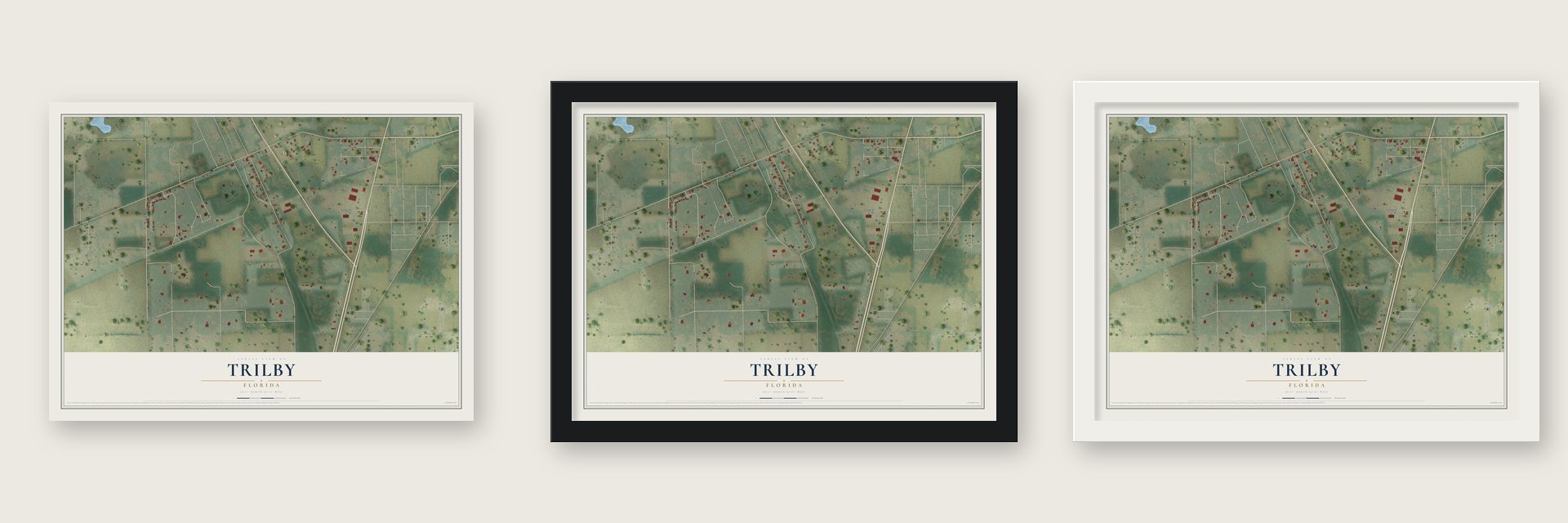 Trilby, Florida map unframed, in a black wood frame and in a white wood frame