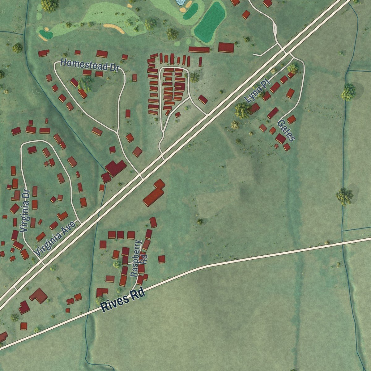 Second close-up of the map of Troy, Tennessee print showing more streets and buildings