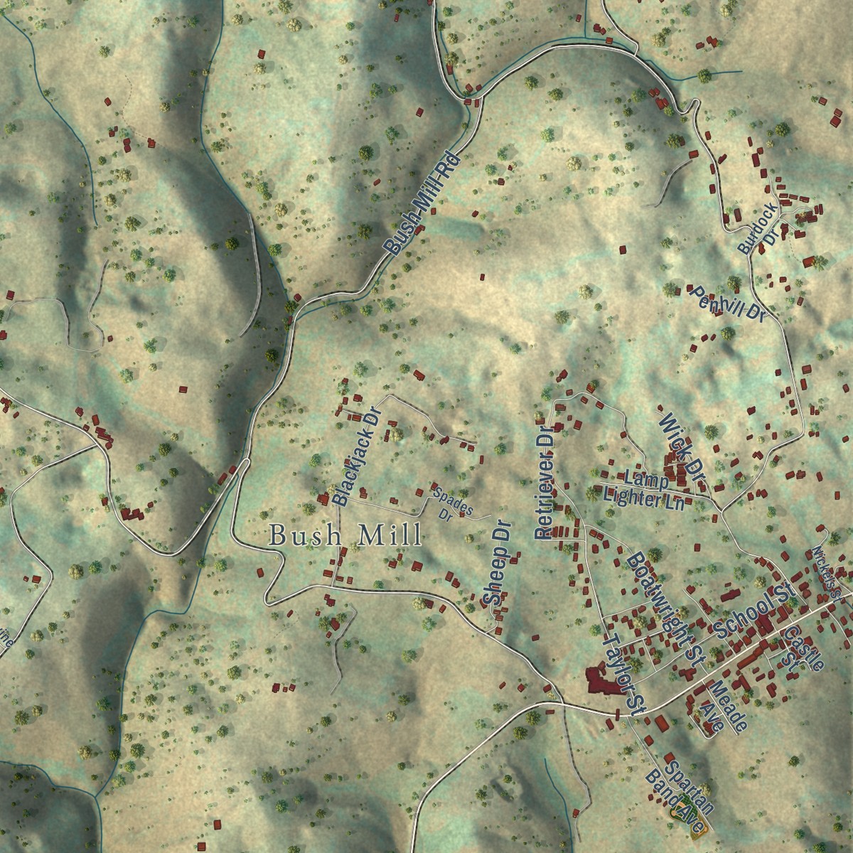 Second close-up of the map of Twin Springs, Virginia print showing more streets and buildings