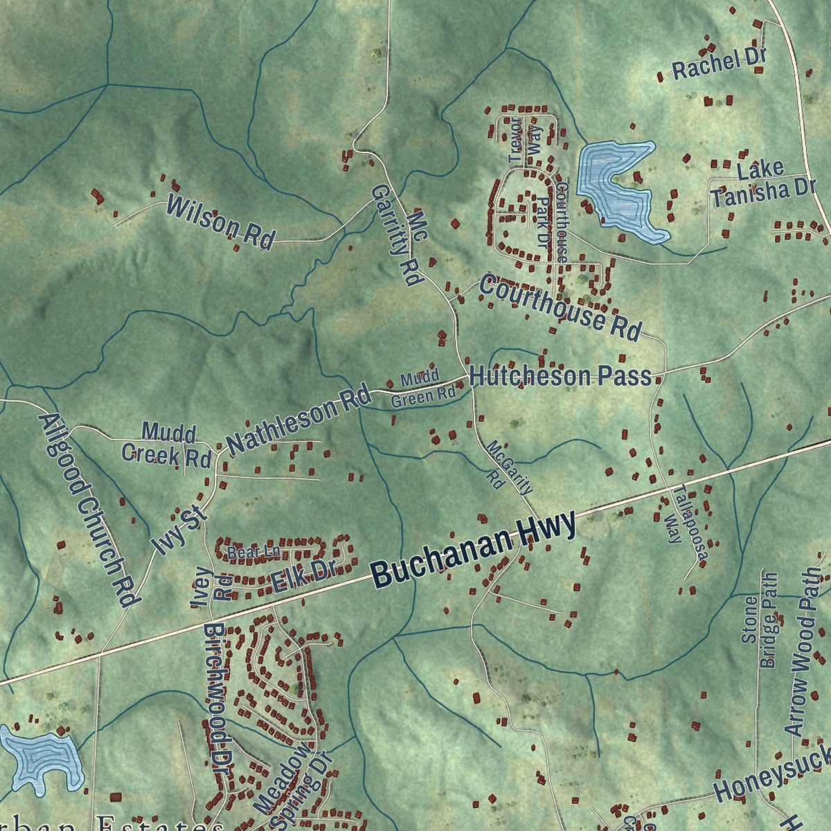 Second close-up of the map of Union, Georgia print showing more streets and buildings