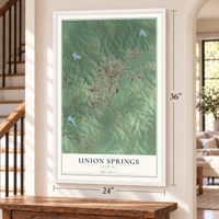 Union Springs, Alabama map, 24 x 36 inch print in a white frame by a staircase