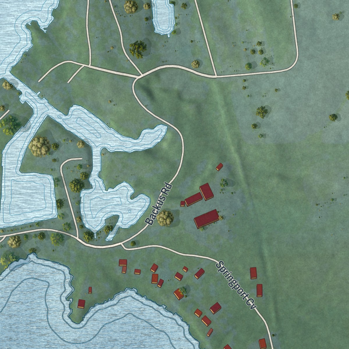 Second close-up of the map of Union Springs, New York print showing more streets and buildings
