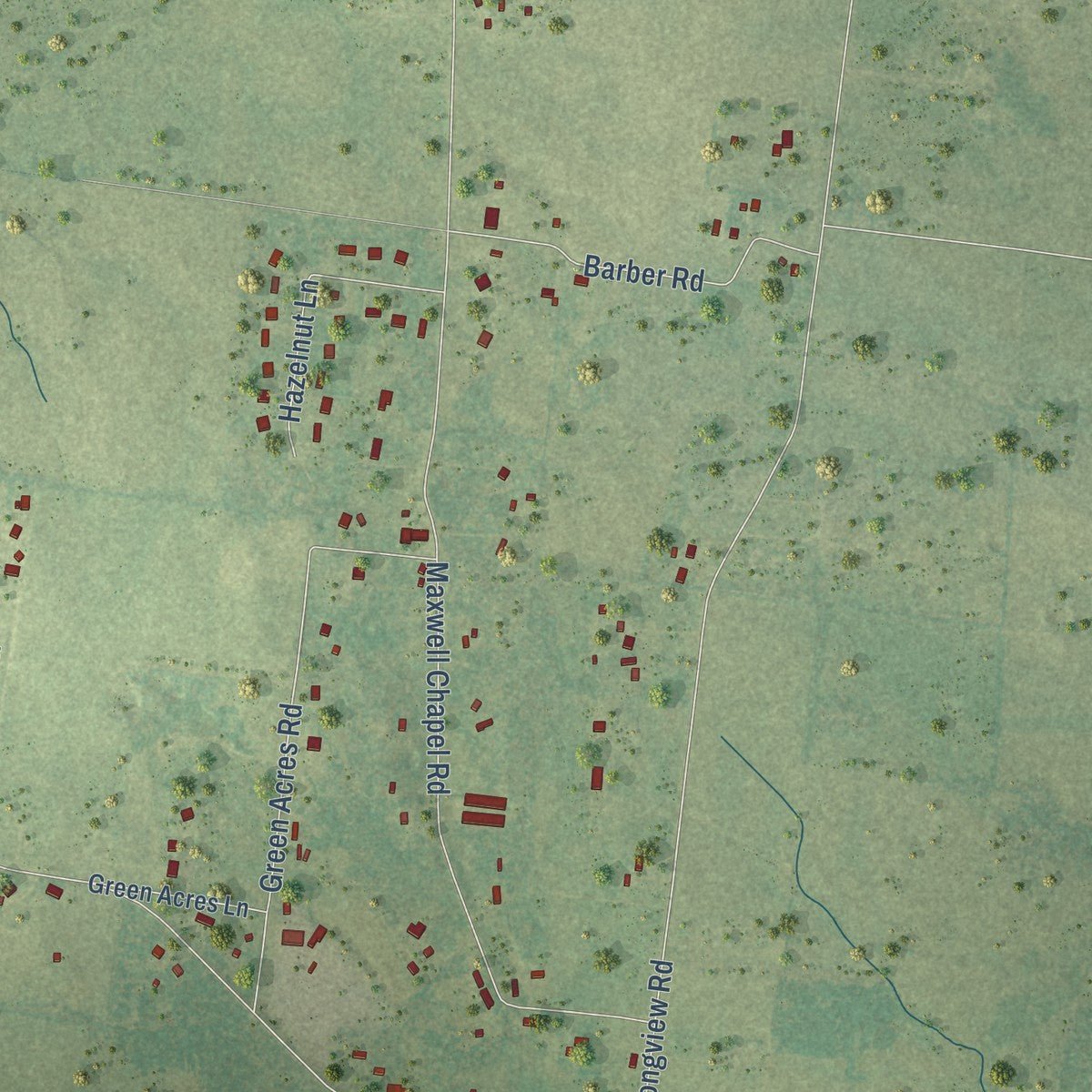 Second close-up of the map of Unionville, Tennessee print showing more streets and buildings