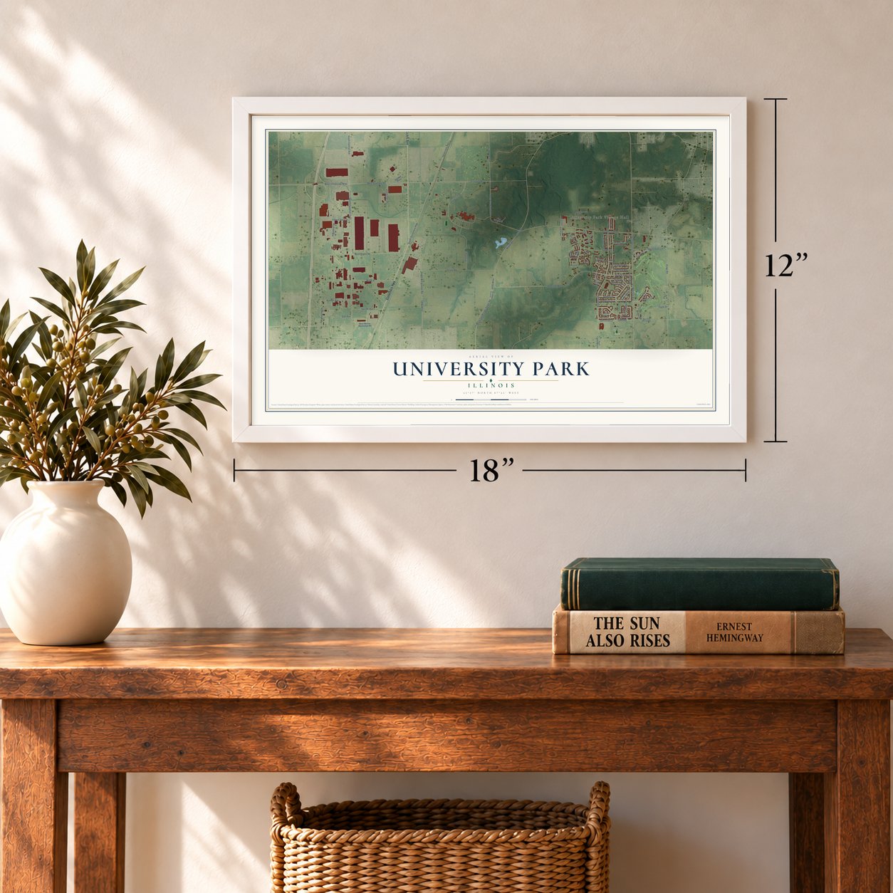 University Park, Illinois map, 12 x 18 inch print in a white frame in an entryway