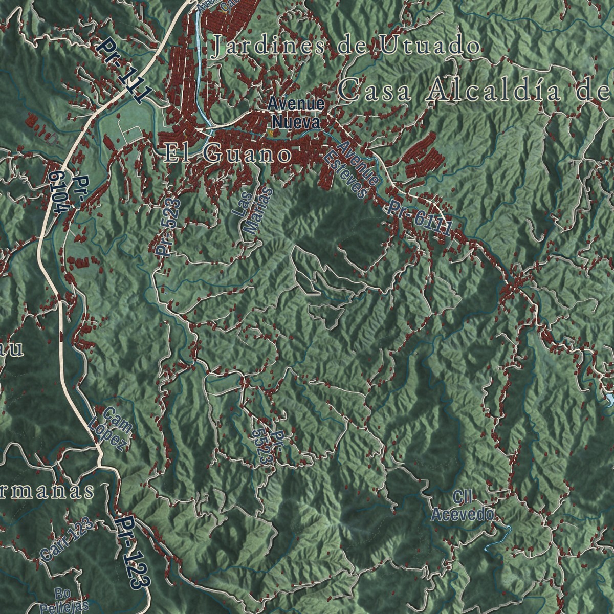 Second close-up of the map of Utuado, Puerto Rico print showing more streets and buildings