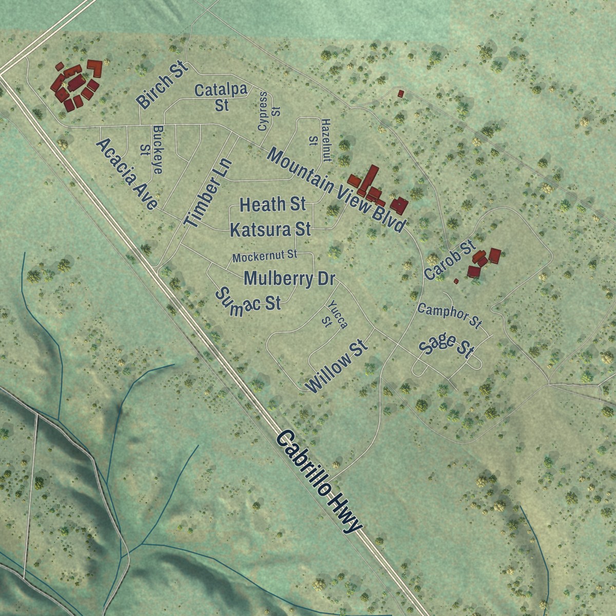 Second close-up of the map of Vandenberg AFB, California print showing more streets and buildings