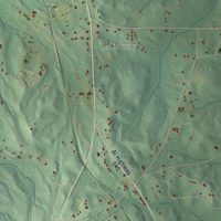 Second close-up of the map of Verbena, Alabama print showing more streets and buildings