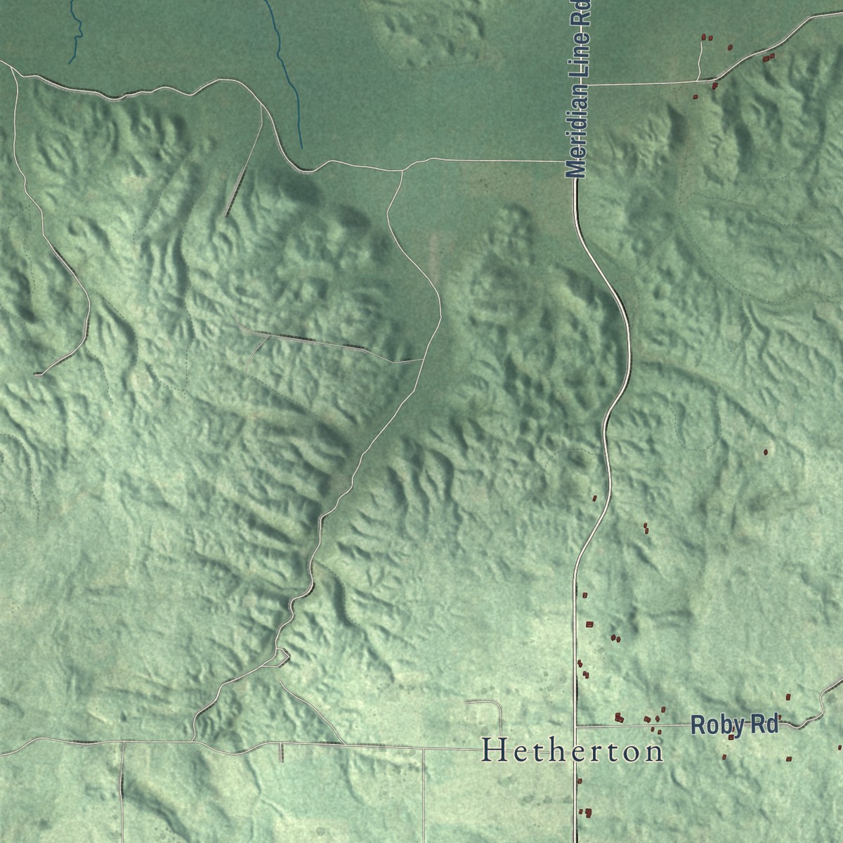 Second close-up of the map of Vienna, Montmorency County, Michigan print showing more streets and buildings