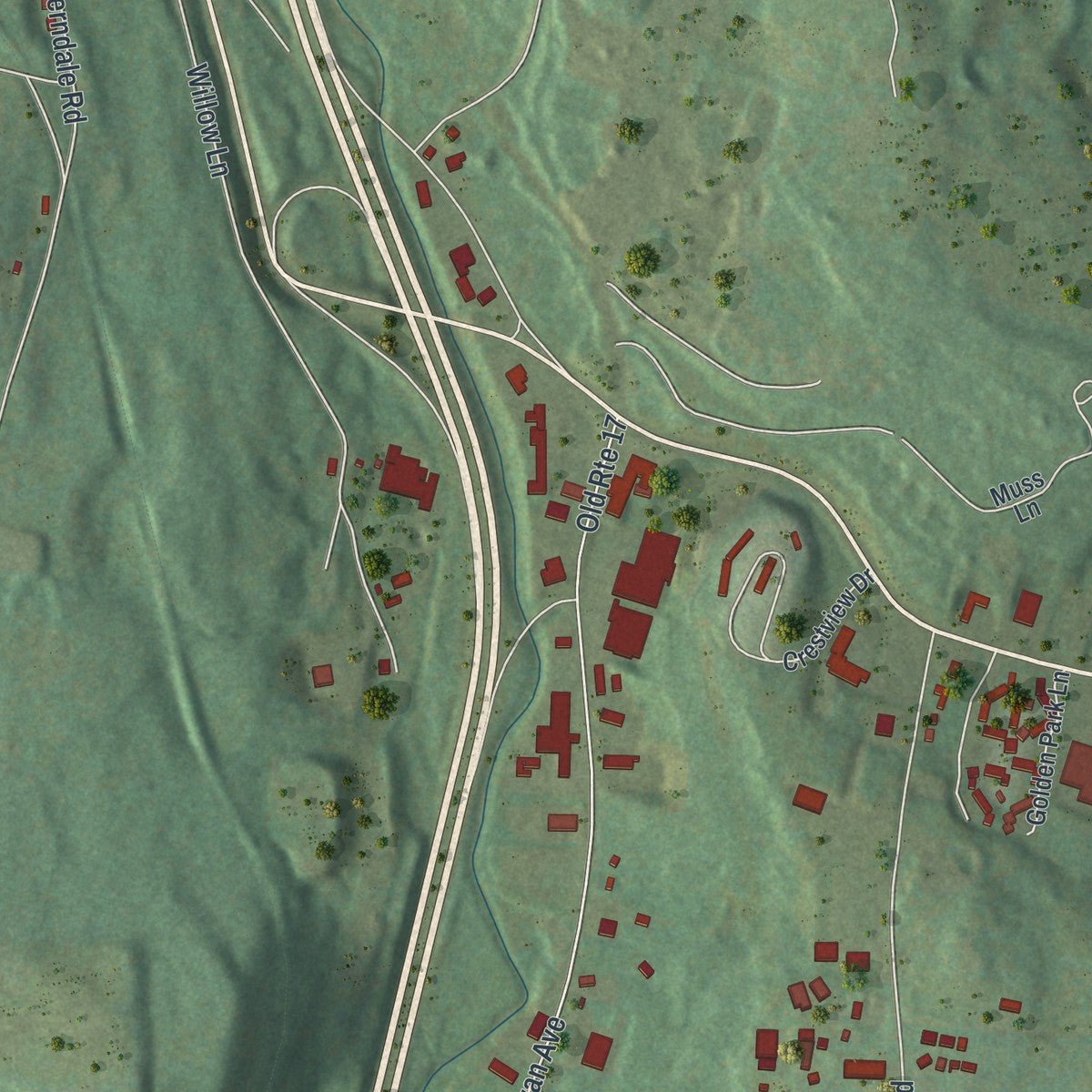 Second close-up of the map of the Village of Liberty, New York print showing more streets and buildings