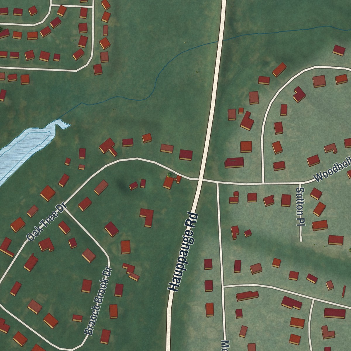 Second close-up of the map of the Village of the Branch, New York print showing more streets and buildings