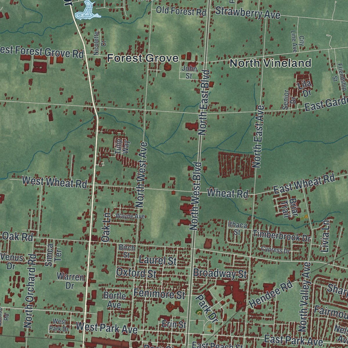 Second close-up of the map of Vineland, New Jersey print showing more streets and buildings