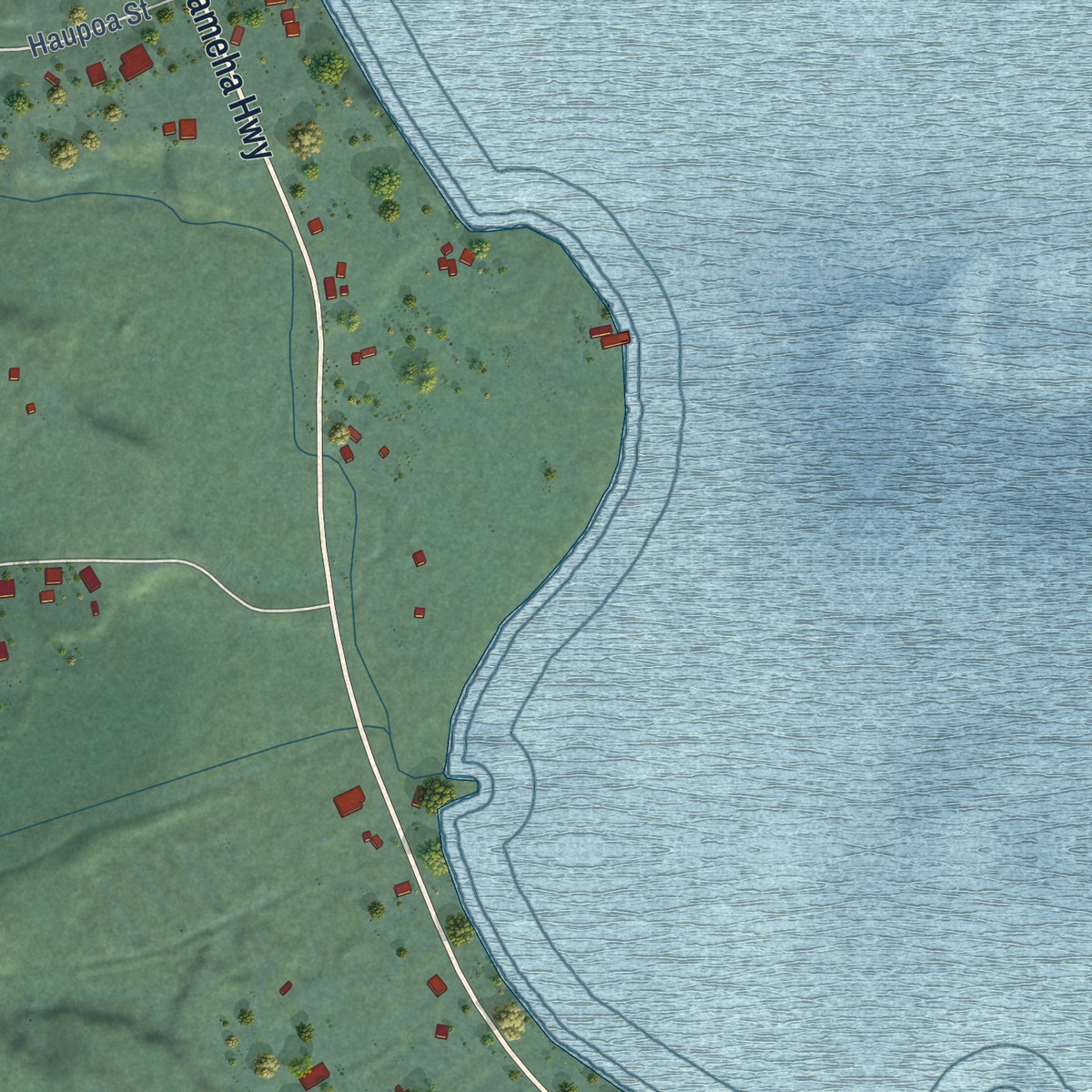 Second close-up of the map of Waiahole-Waikane, Hawaii print showing more streets and buildings