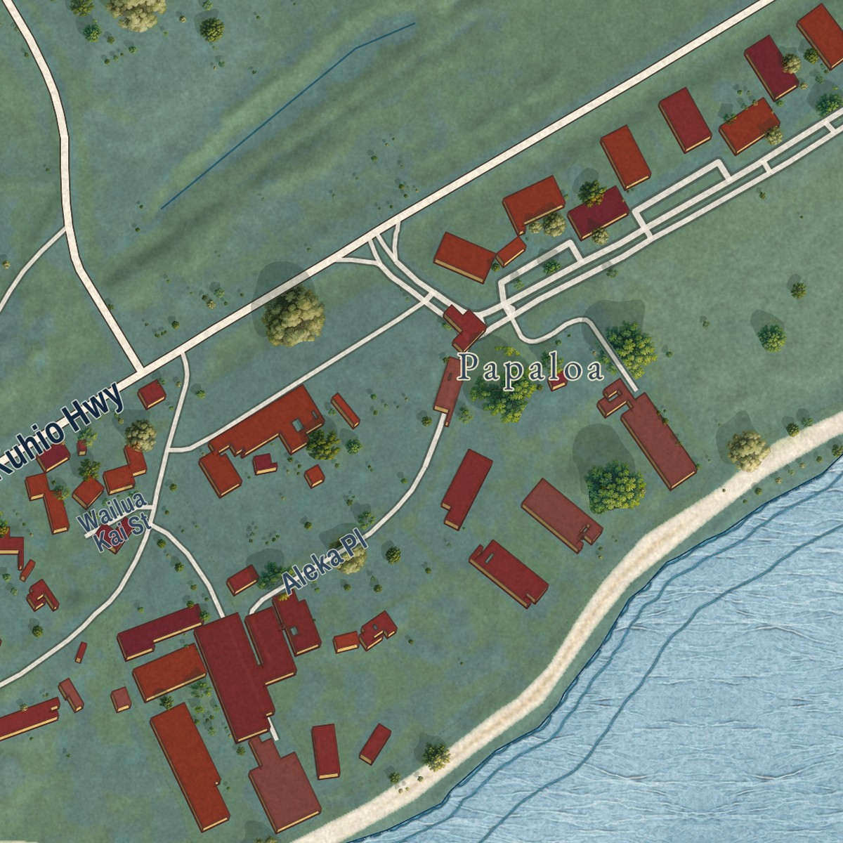 Second close-up of the map of Wailua, Hawaii print showing more streets and buildings