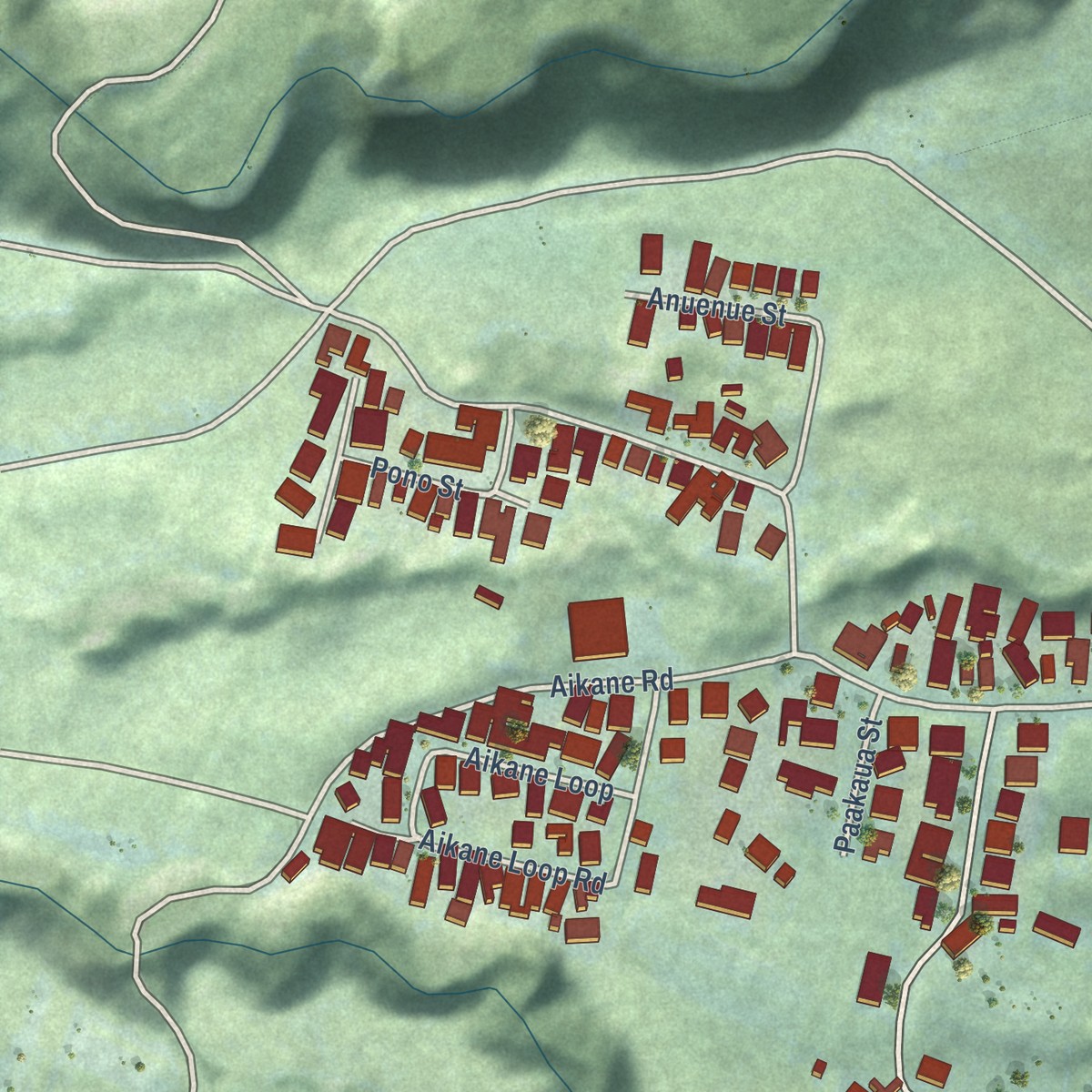 Second close-up of the map of Wainaku, Hawaii print showing more streets and buildings