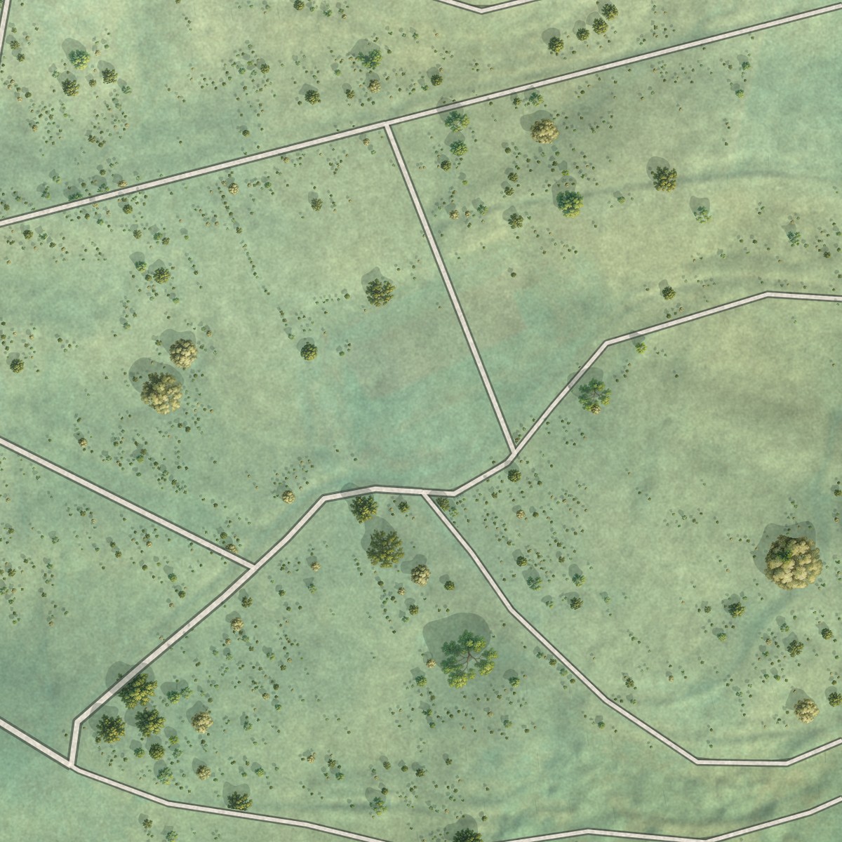 Second close-up of the map of Waiohinu, Hawaii print showing more streets and buildings