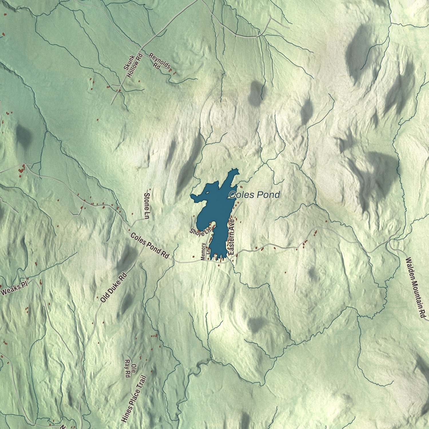 Close-up of the map of Walden, Vermont print showing terrain and local geography