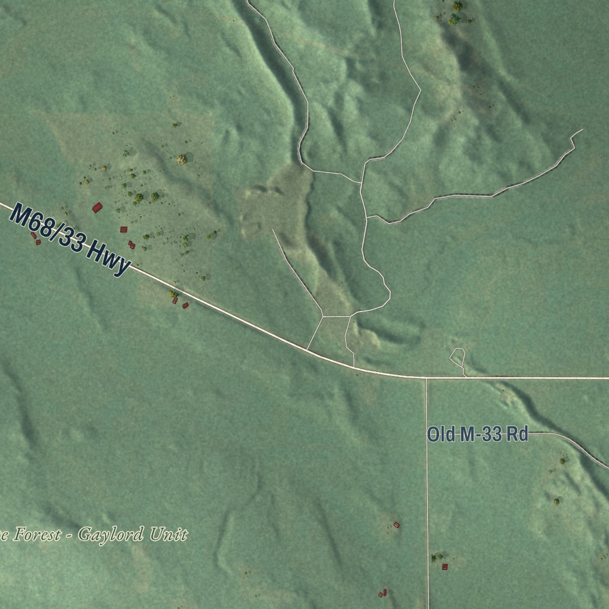 Second close-up of the map of Walker, Cheboygan County, Michigan print showing more streets and buildings