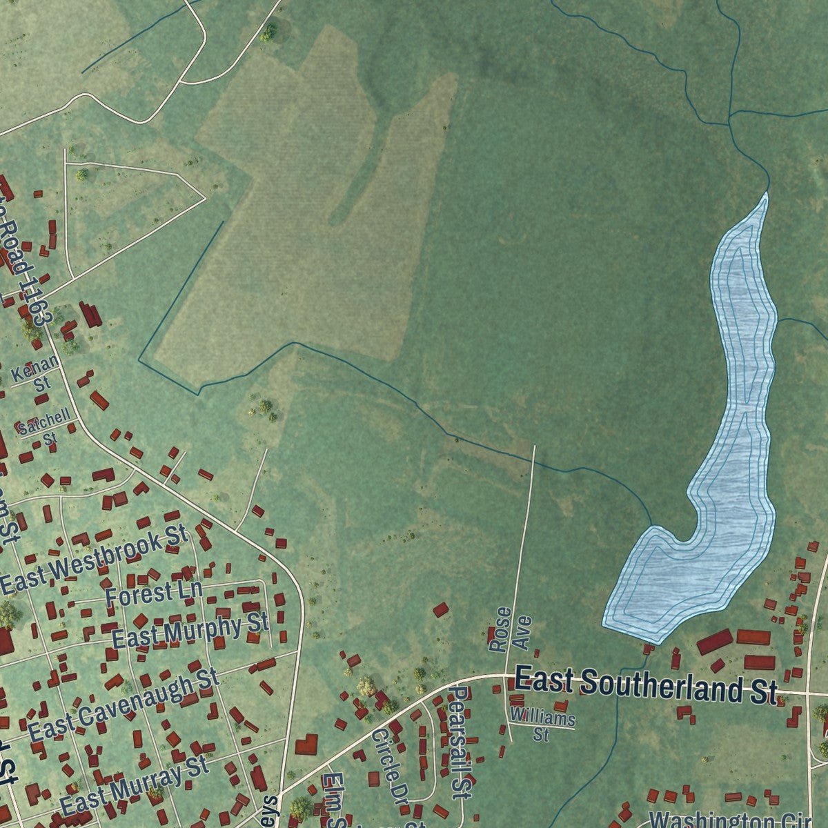Second close-up of the map of Wallace, North Carolina print showing more streets and buildings