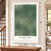 Walnut Hill, Illinois map, 24 x 36 inch print in a white frame by a staircase