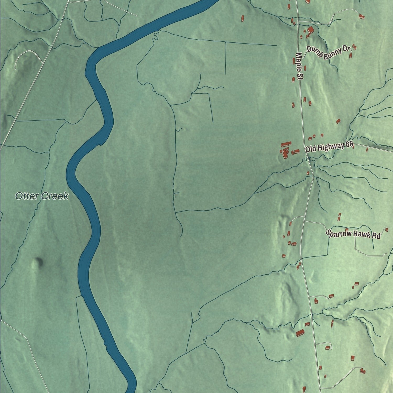 Close-up of the map of Waltham, Vermont print showing terrain and local geography
