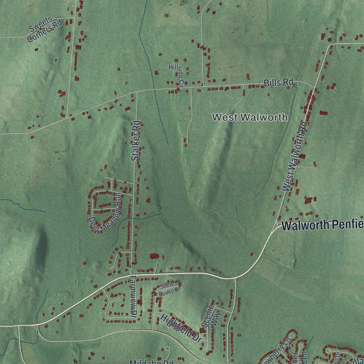 Second close-up of the map of Walworth, New York print showing more streets and buildings