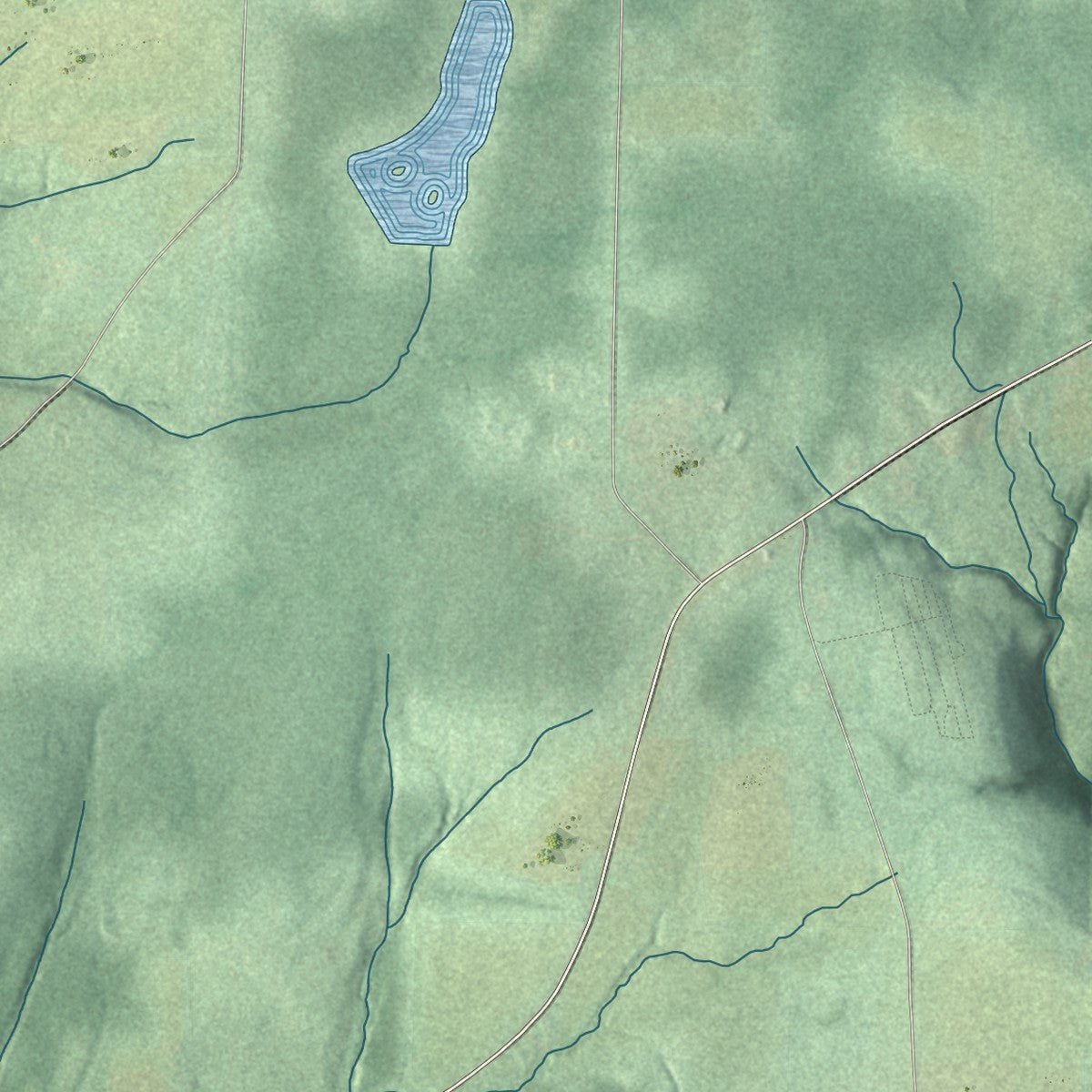 Second close-up of the map of Ward, New York print showing more streets and buildings