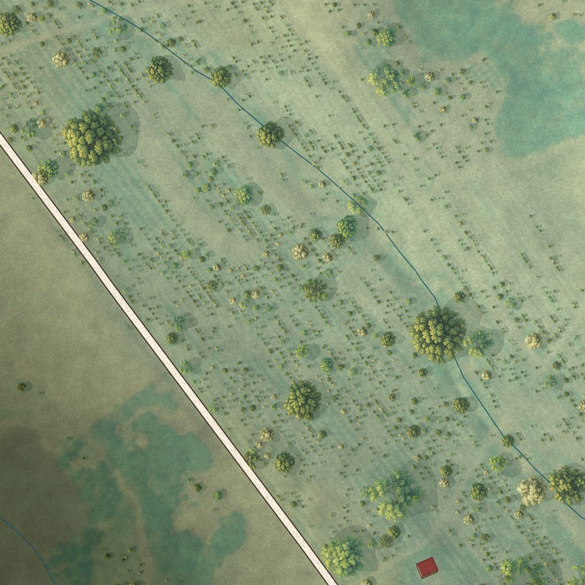 Second close-up of the map of Ward, South Carolina print showing more streets and buildings