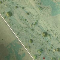 Second close-up of the map of Ward, South Carolina print showing more streets and buildings
