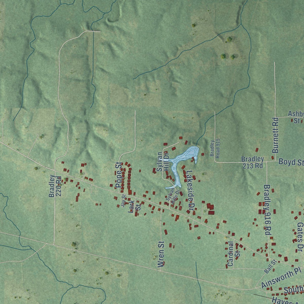 Second close-up of the map of Warren, Arkansas print showing more streets and buildings