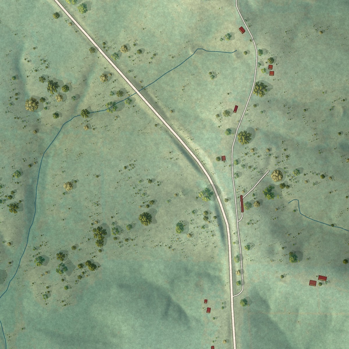 Second close-up of the map of Wasola, Missouri print showing more streets and buildings