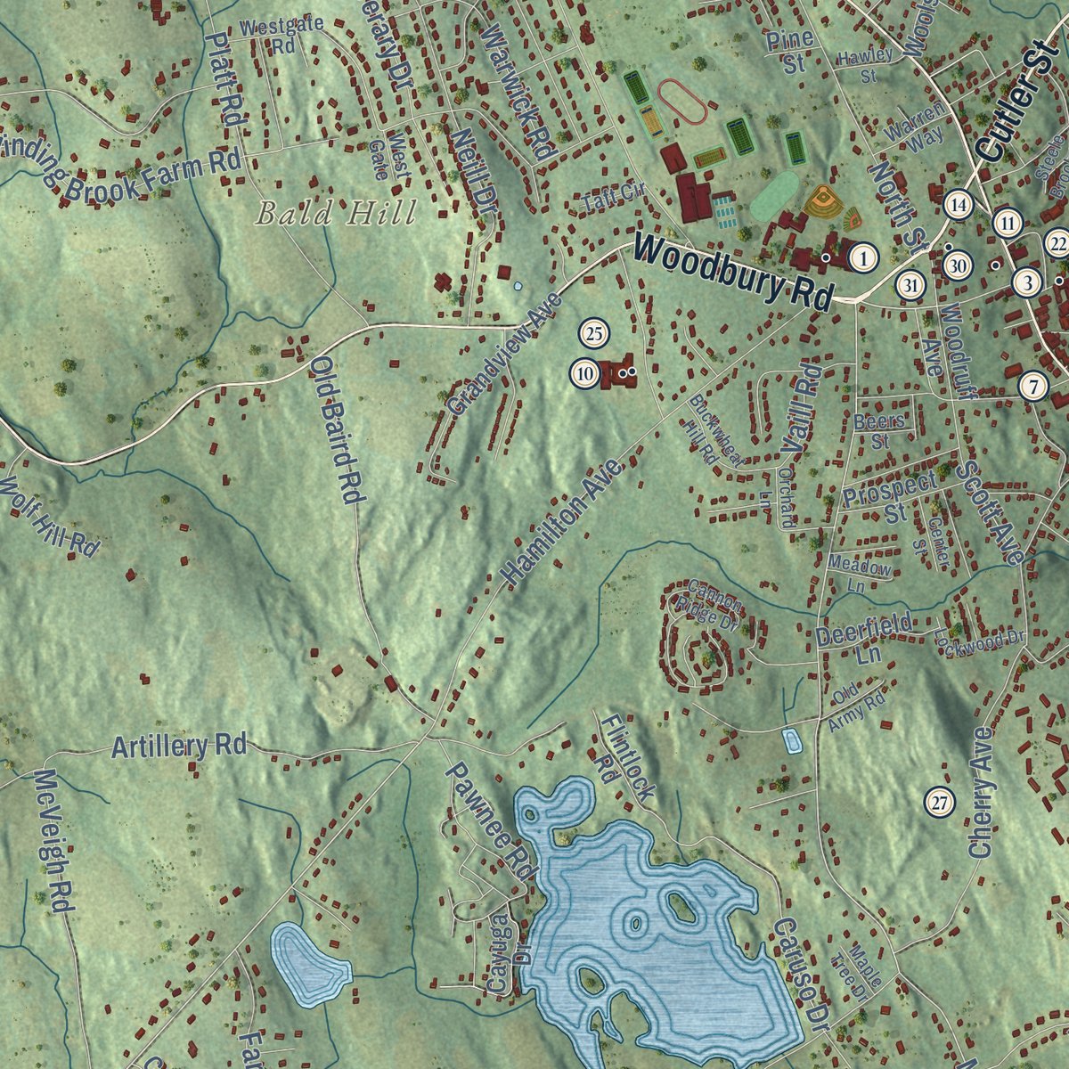 Second close-up of the map of Watertown, Connecticut print showing more streets and buildings
