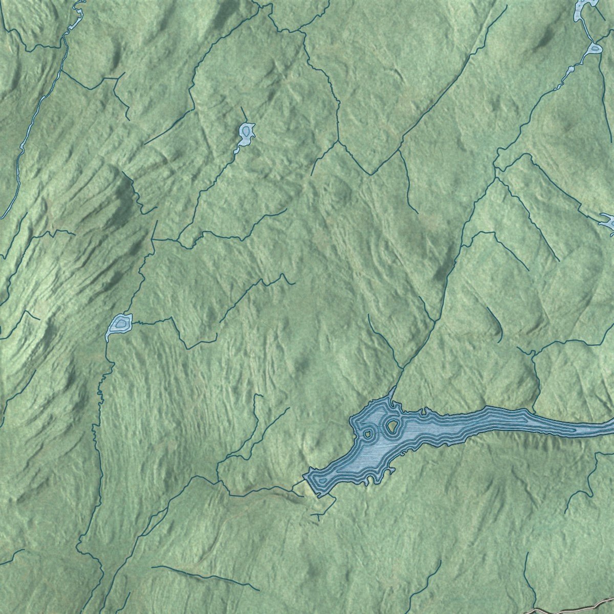 Second close-up of the map of Watson, New York print showing more streets and buildings