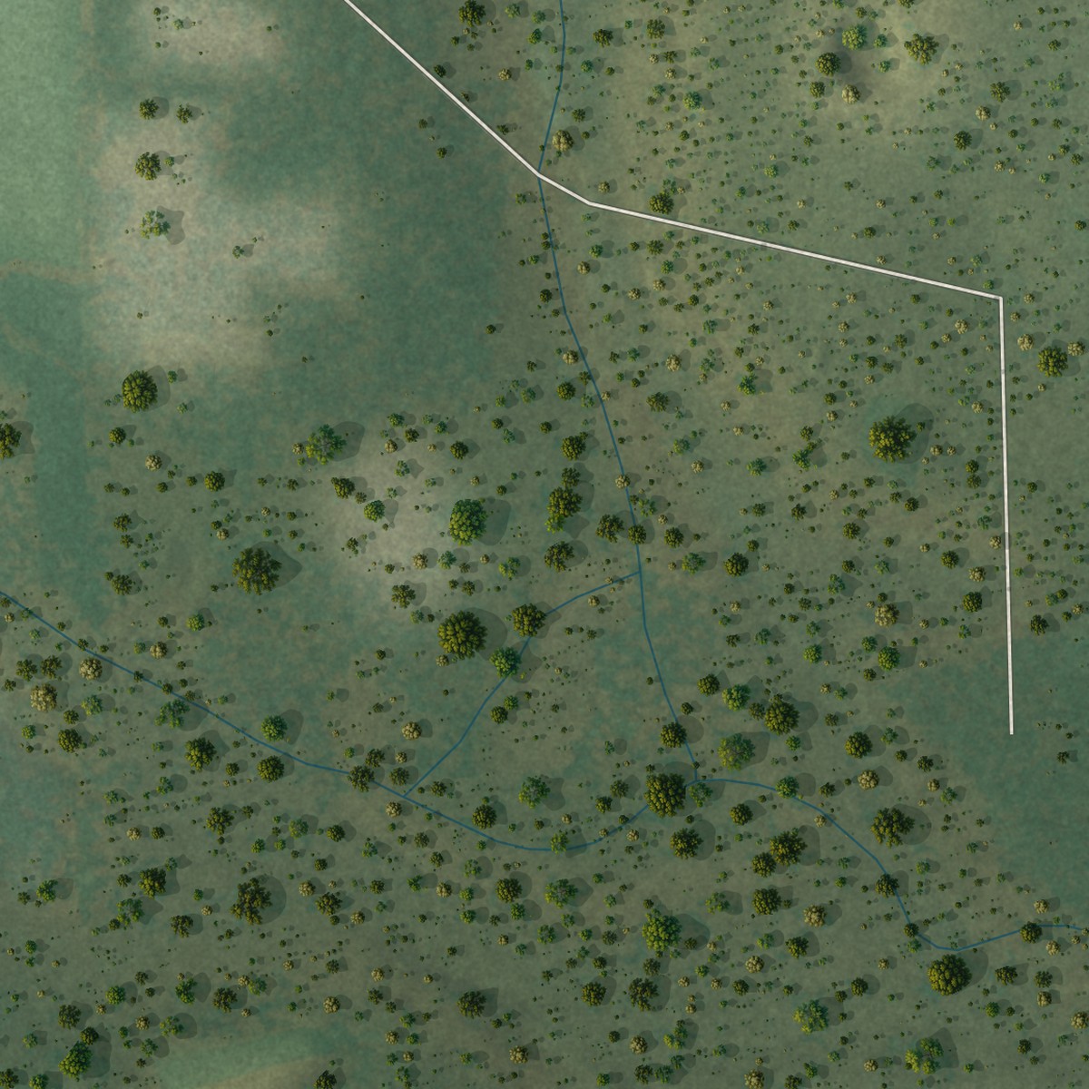 Second close-up of the map of Waukeenah, Florida print showing more streets and buildings