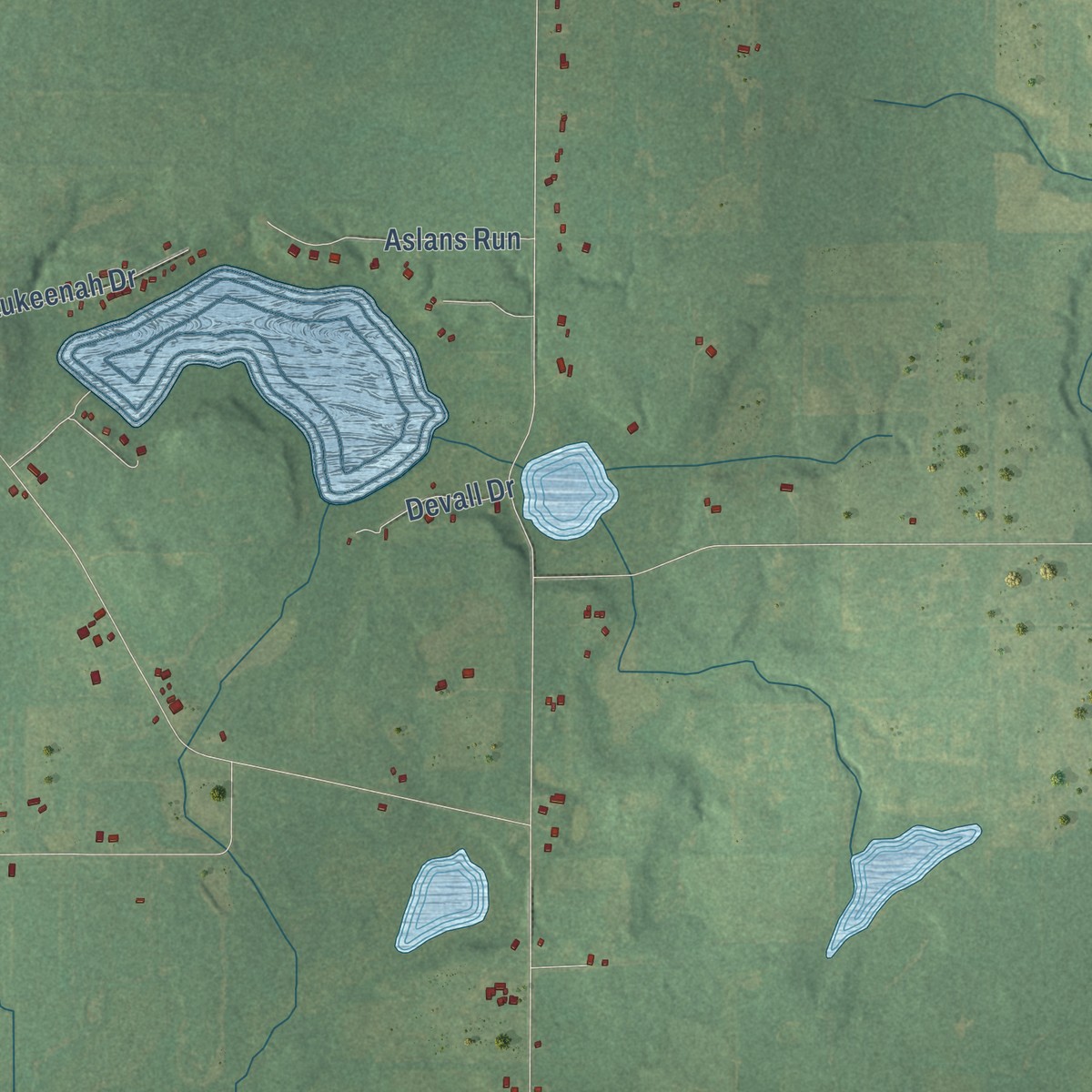 Second close-up of the map of Waverly, Van Buren County, Michigan print showing more streets and buildings