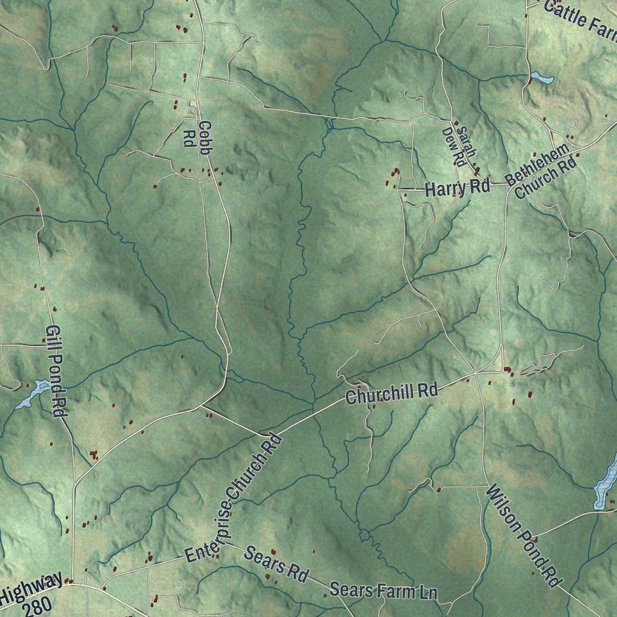 Second close-up of the map of Webster County, Georgia print showing more streets and buildings