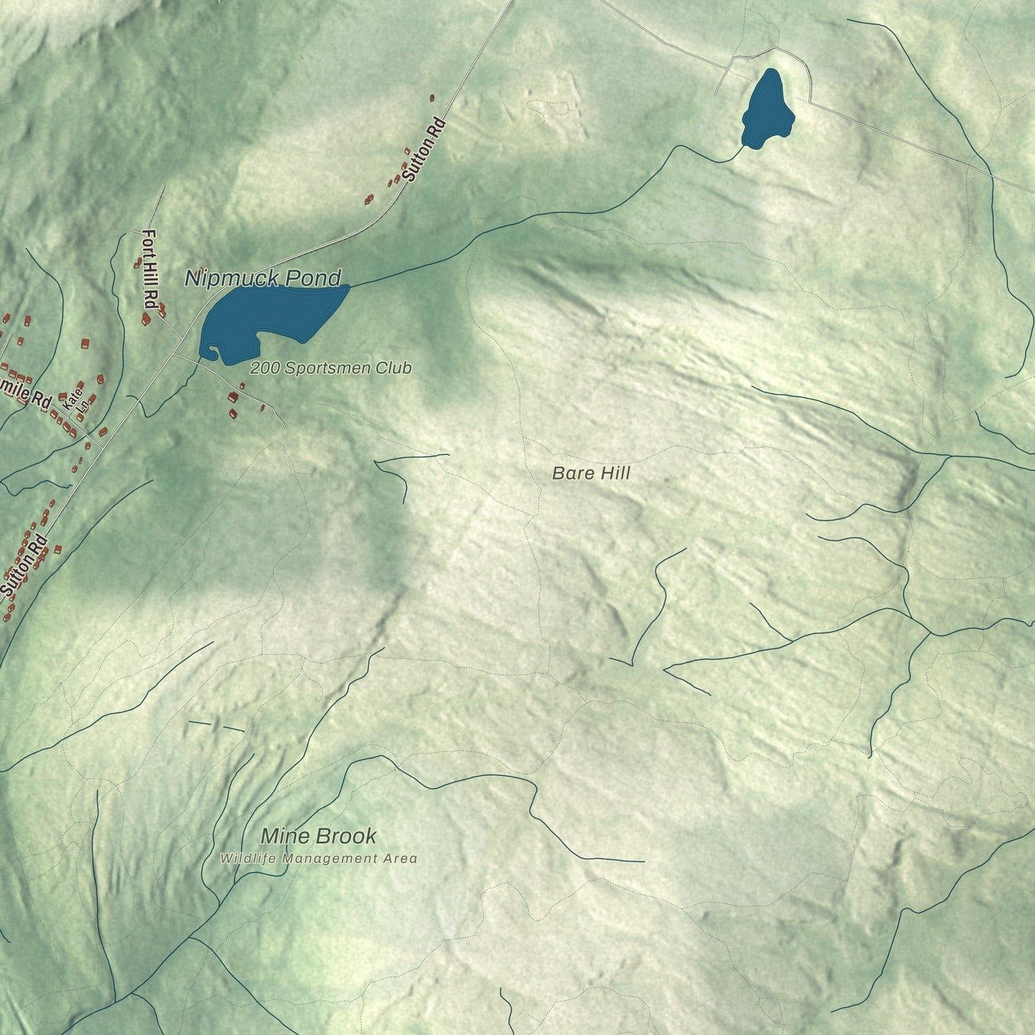 Close-up of the map of Webster, Massachusetts print showing terrain and local geography