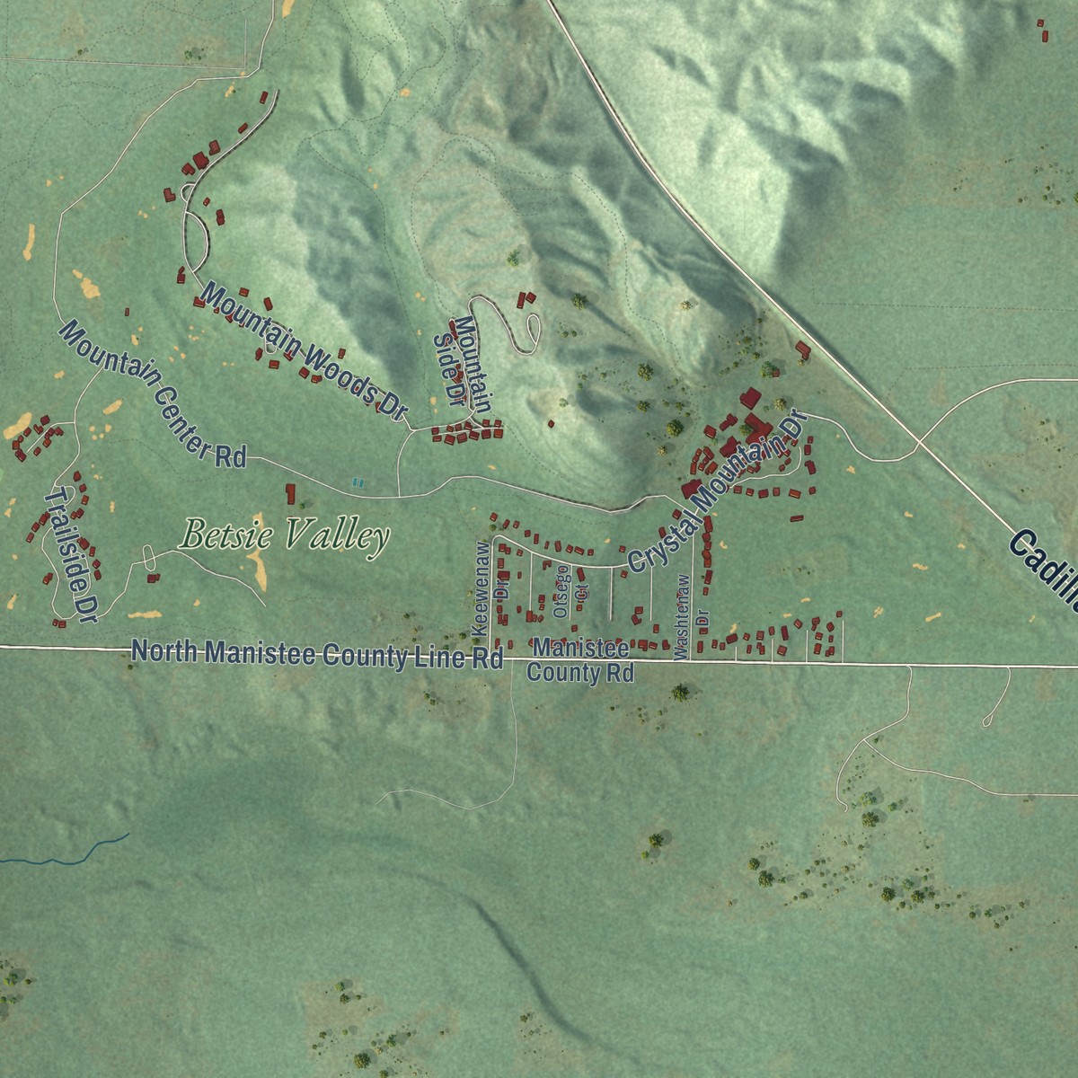 Second close-up of the map of Weldon, Michigan print showing more streets and buildings